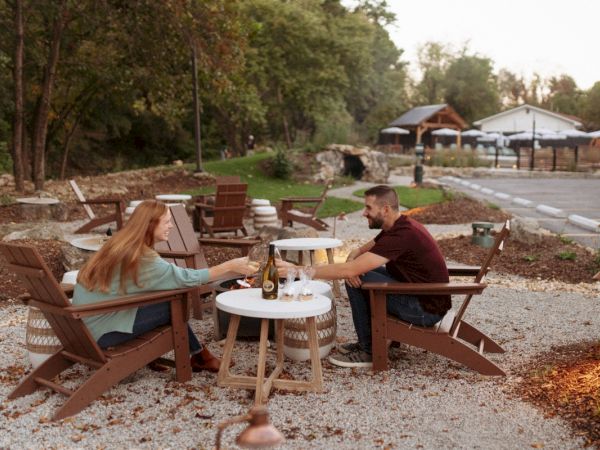 A couple having wine and s