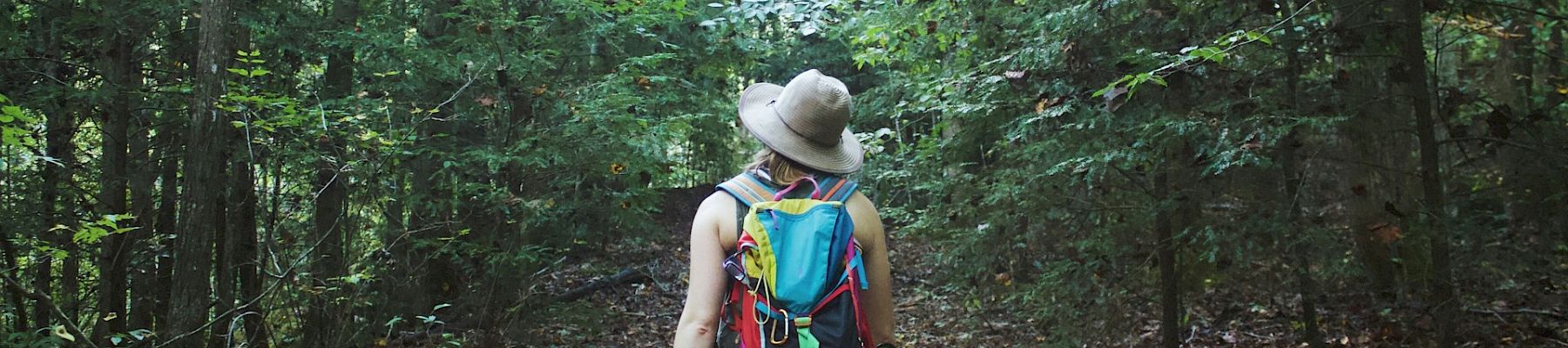 A woman hiking in a forest.